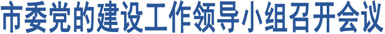 市委黨的建設(shè)工作領(lǐng)導(dǎo)小組召開會議