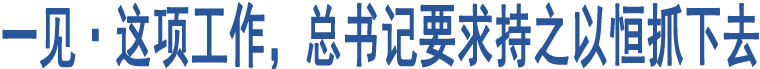 一見·這項工作，總書記要求持之以恒抓下去